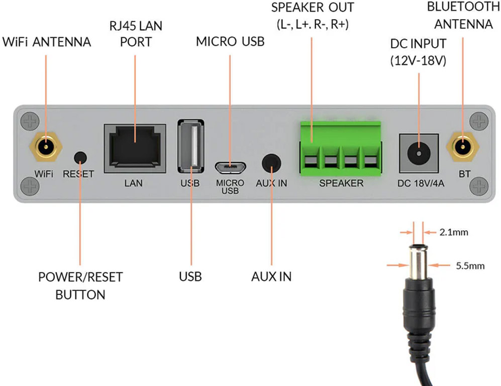 Arylic A30+